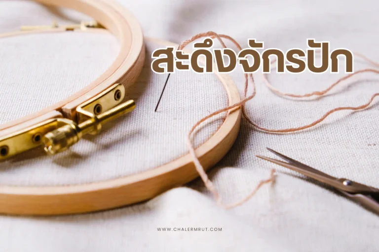 สะดึงจักรปัก-cover