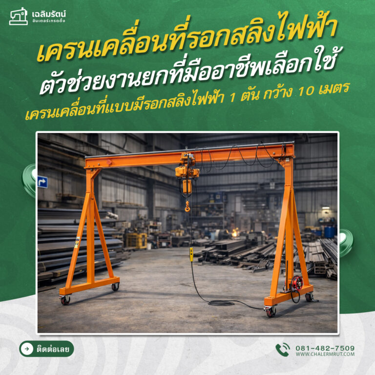 ads เครนเคลื่อนที่แบบมีรอกสลิงไฟฟ้า 1 ตัน กว้าง 10 เมตร