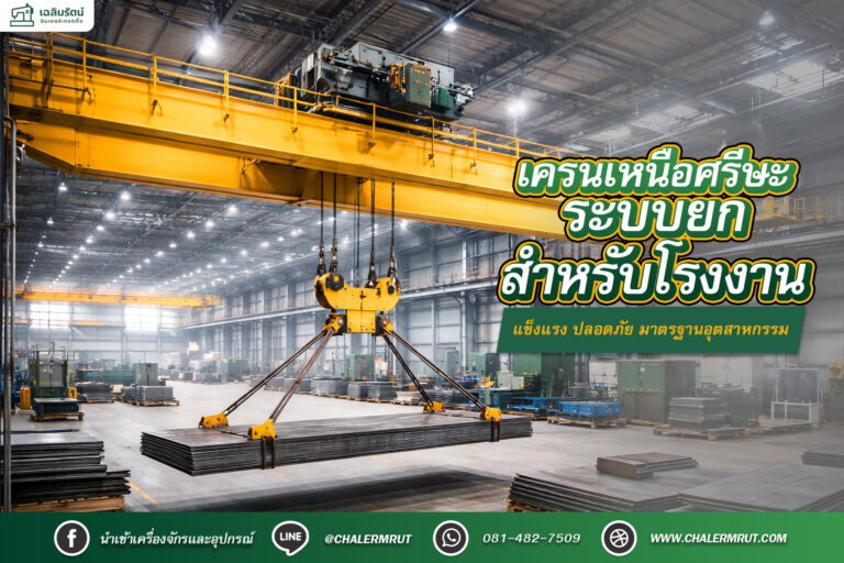 banner seo เครนเหนือศรีษะ